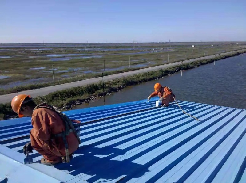 轵城镇钢结构屋面漏水原因